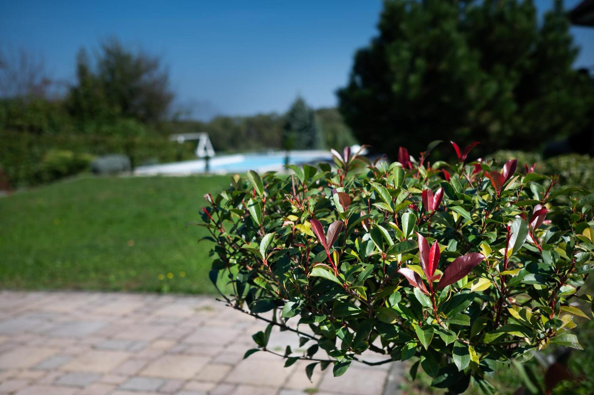 Home Away From Home Varazdin Breg Ngoại thất bức ảnh