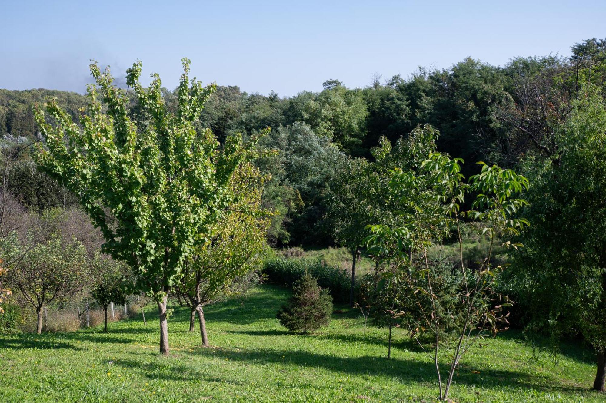 Home Away From Home Varazdin Breg Ngoại thất bức ảnh
